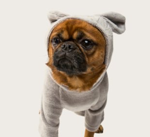 Cama para Mascotas